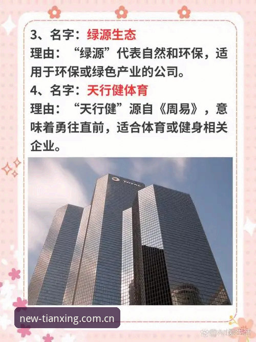 天行体育2026新版对比使用教程：从下载到体验的全流程操作指南